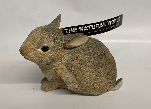 Country Artists -Rabbit -Untroubled