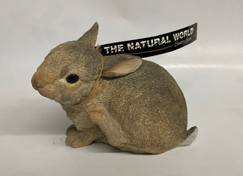 Country Artists -Rabbit -Untroubled