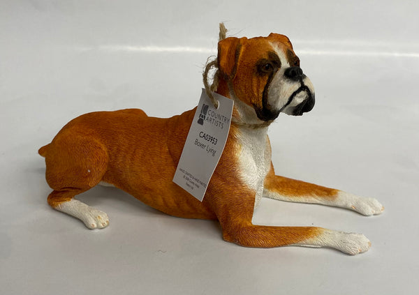 Country Artists -Boxer Lying