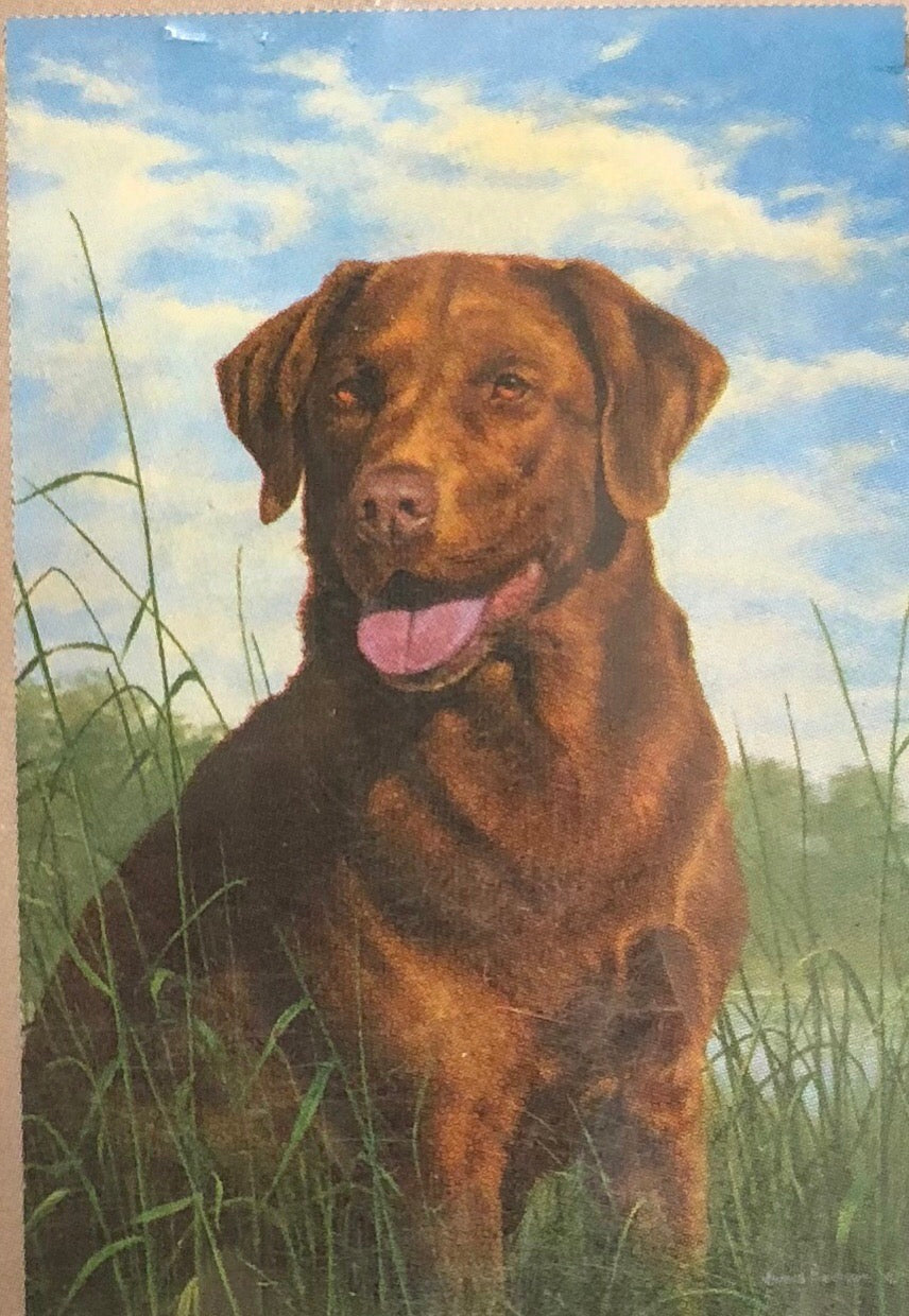 Chocolate Lab - Large Flag