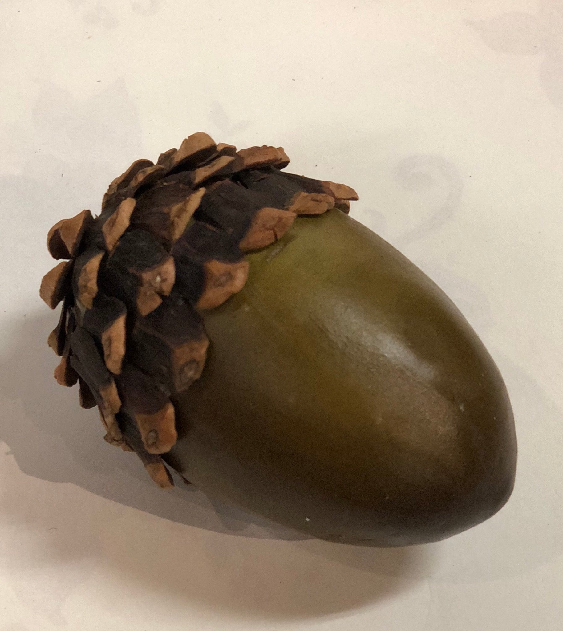 Green Acorn - Pack of 6