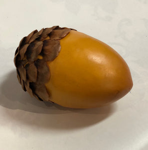 Yellow Acorn - Pack of 6