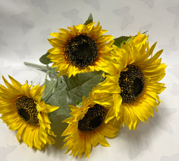 Sunflower Bush -Yellow