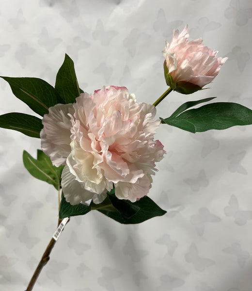 Garden Peony With Bud -Soft Pink