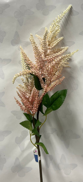 Astilbe Spray