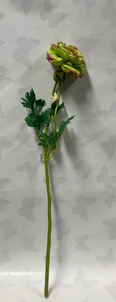 Ranunculus Spray -Green