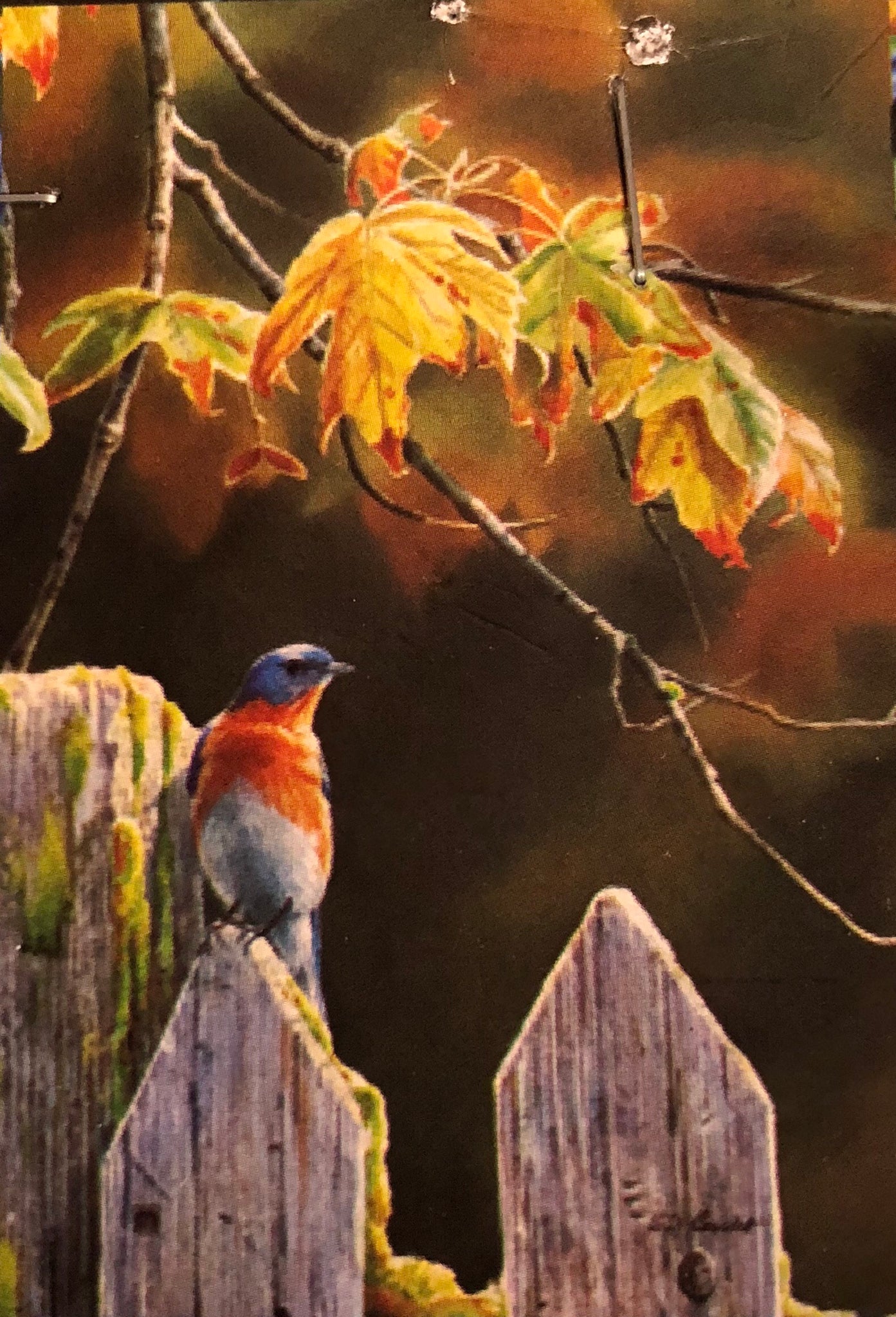 Garden Gate Bluebird- Large Flag