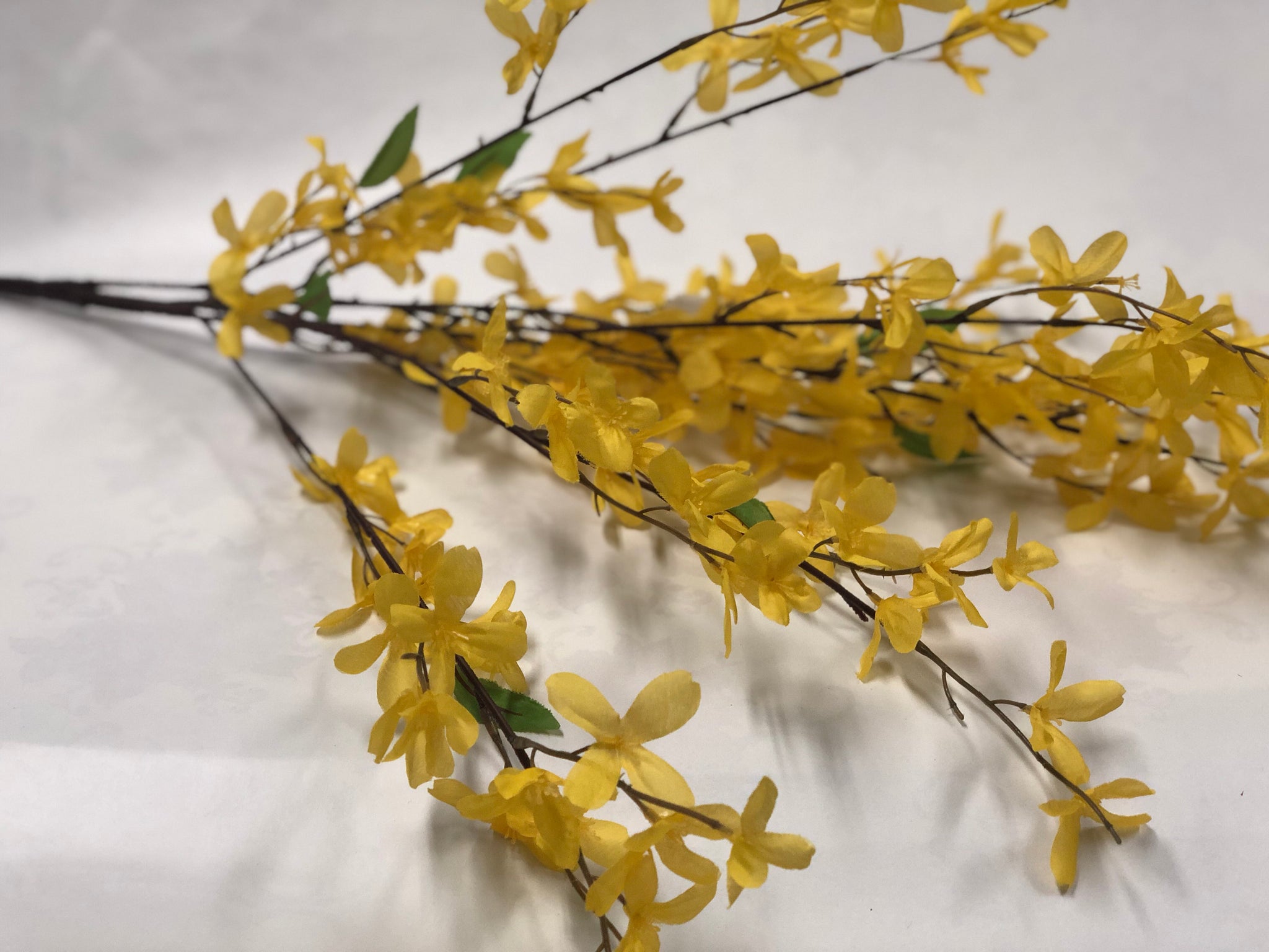 Forsythia Bunch