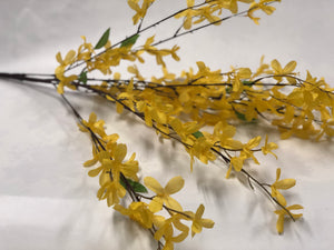 Forsythia Bunch