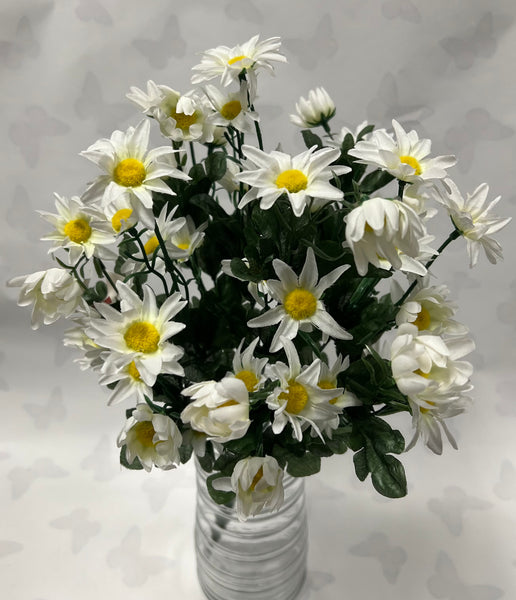 Daisy Bunch