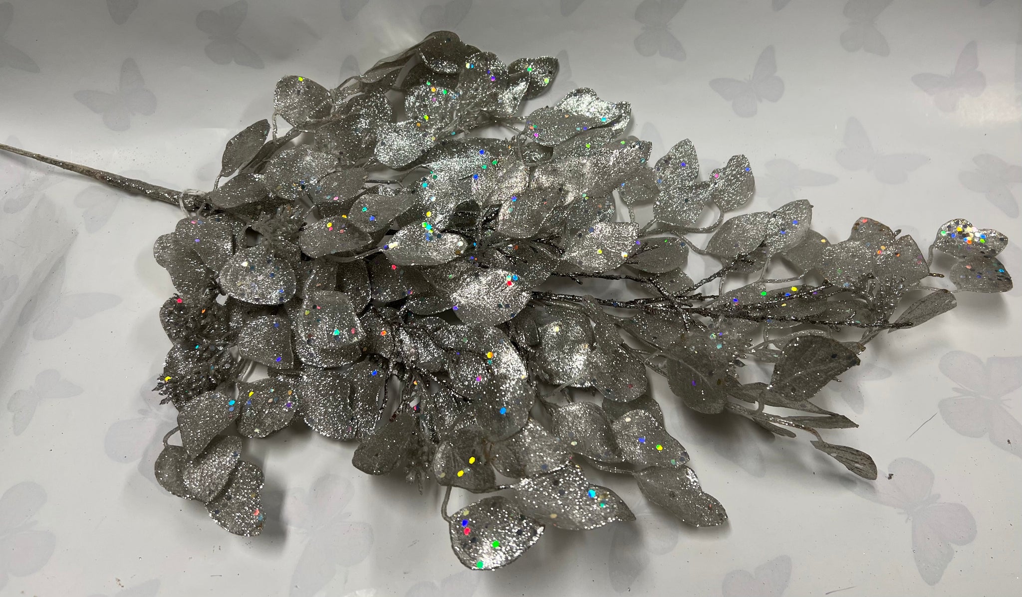 Silver Dollar Eucalyptus Spray