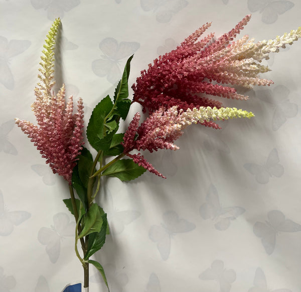 Astilbe Spray