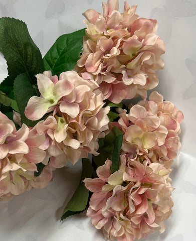 Hydrangea Bush- Pink/Peach