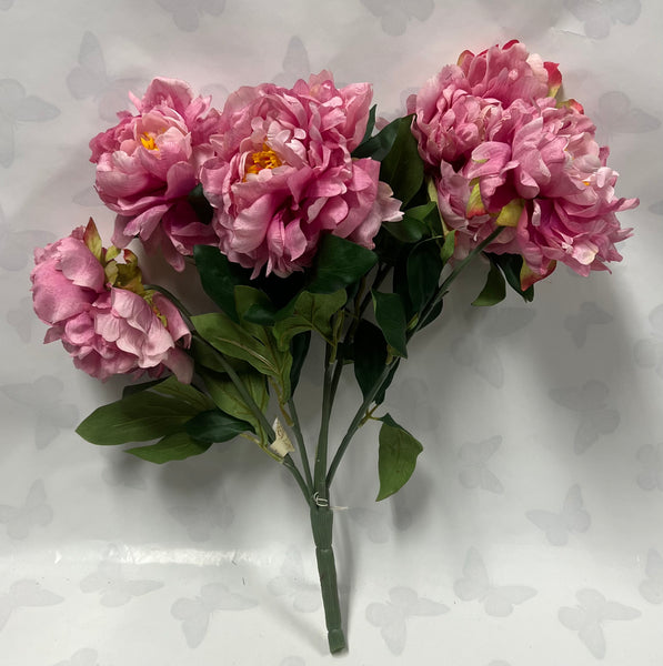Peony Bush -Dark Pink