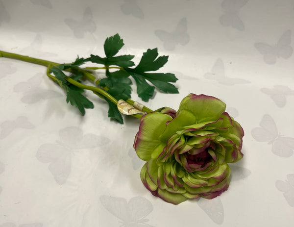 Ranunculus Spray -Green