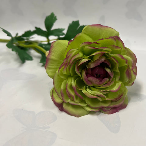 Ranunculus Spray -Green