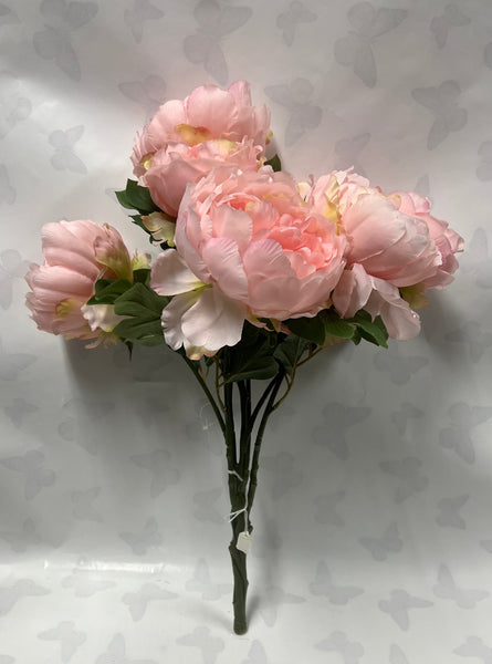 Peony Bush -Light Pink