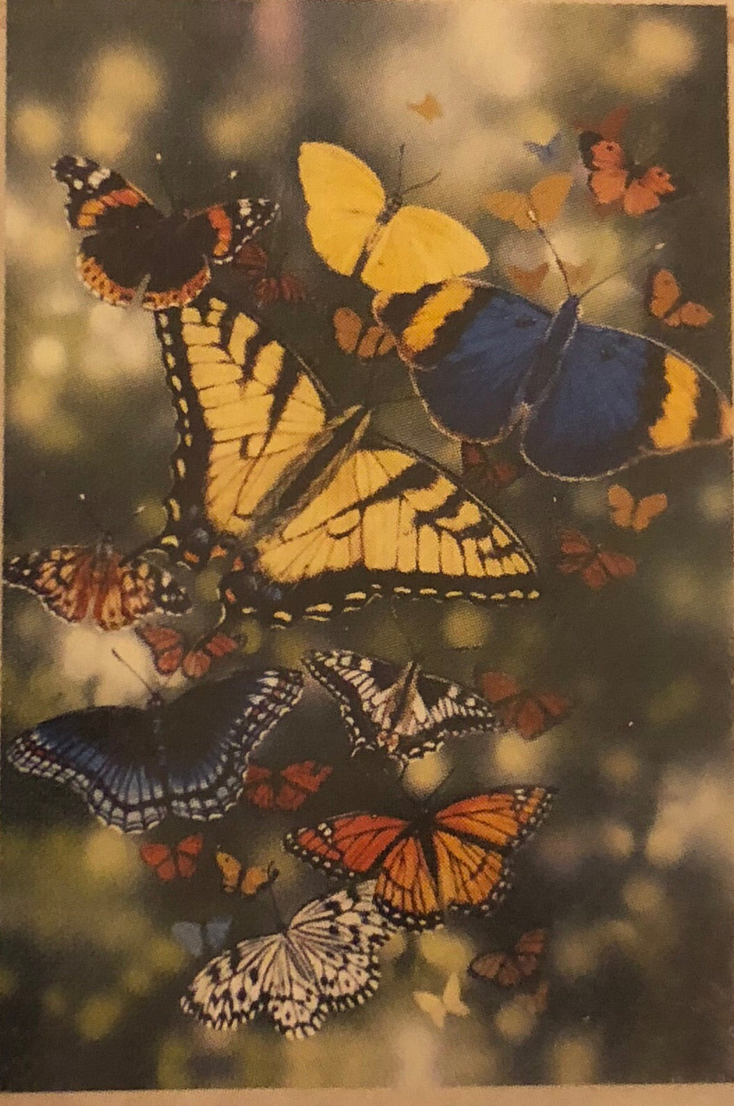 Flying Flowers- Large Flag