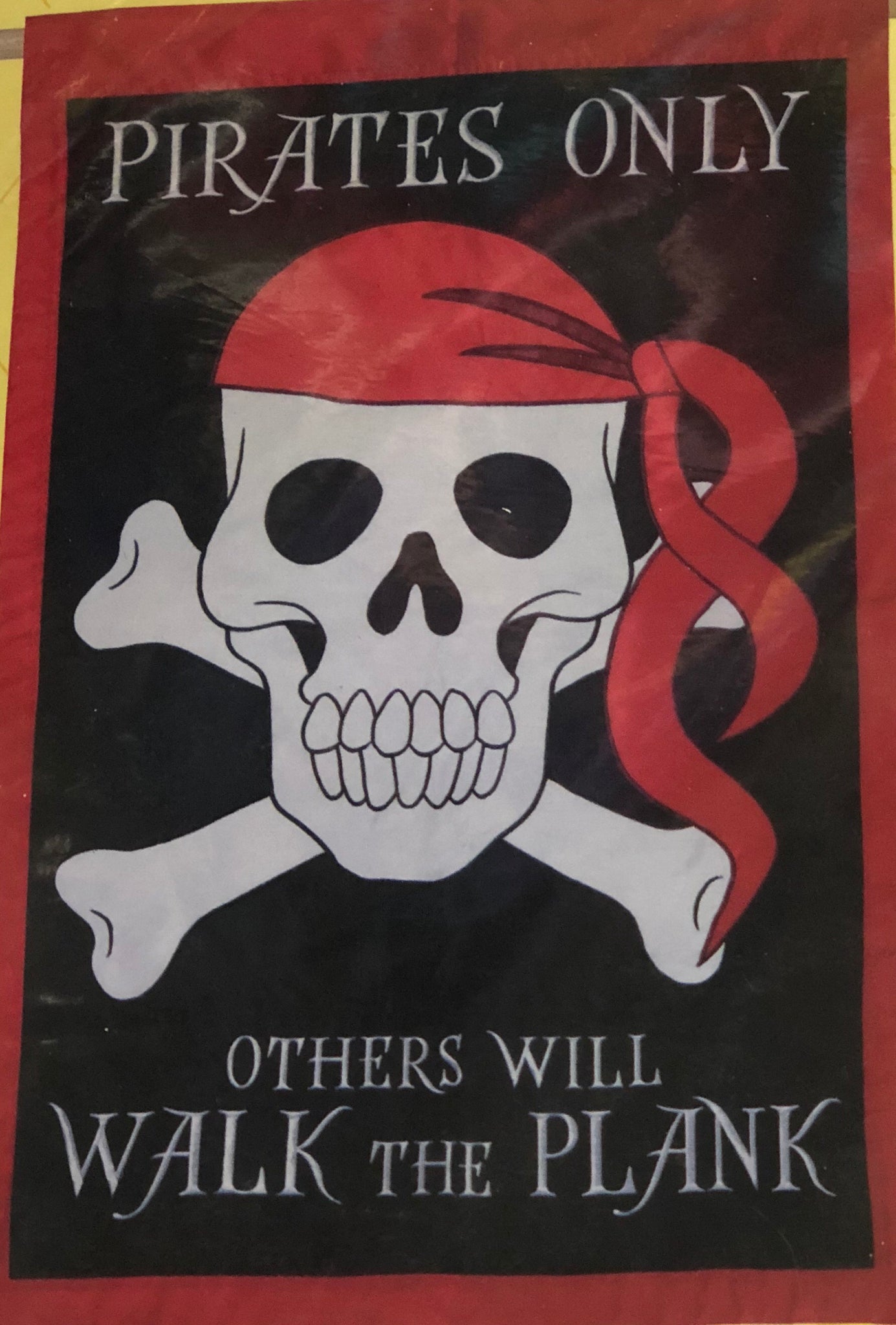 Walk the Plank - Large Flag