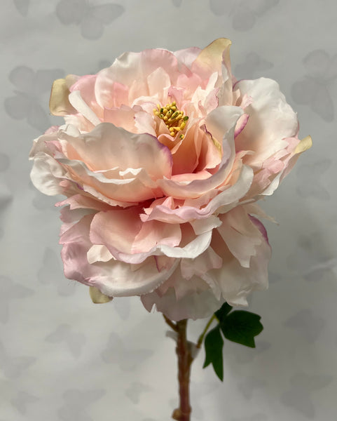 Queen Peony Stem -Soft Pink