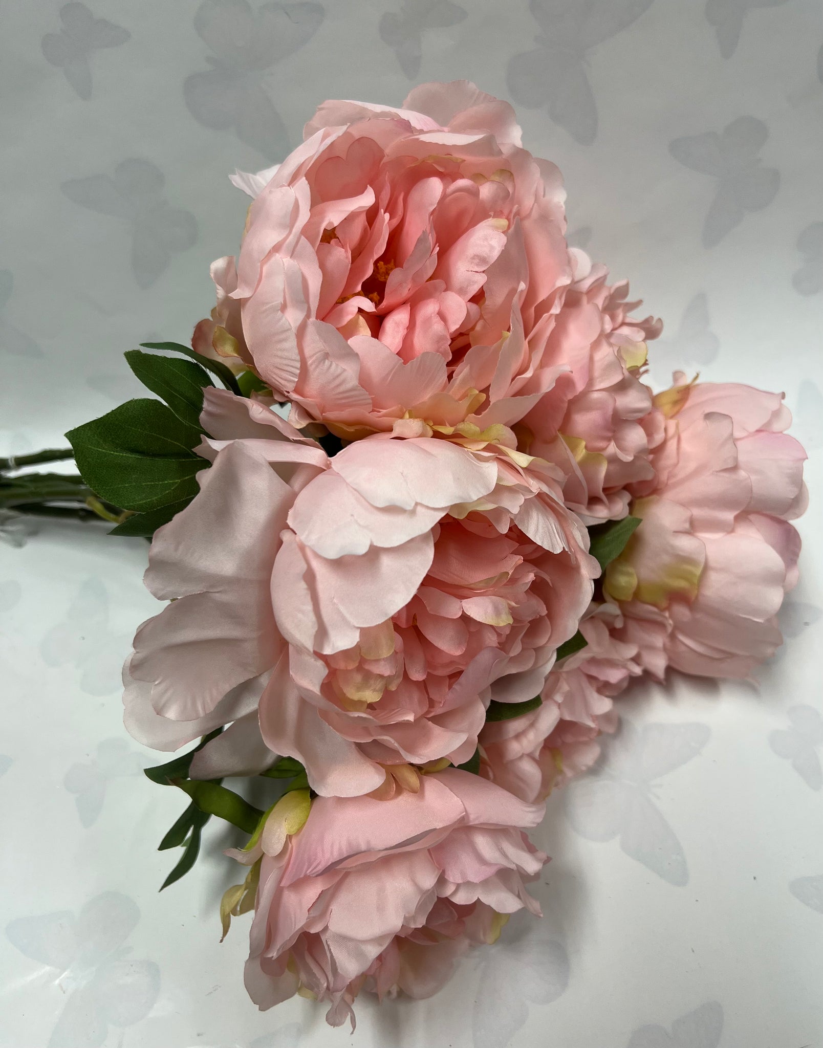 Peony Bush -Light Pink