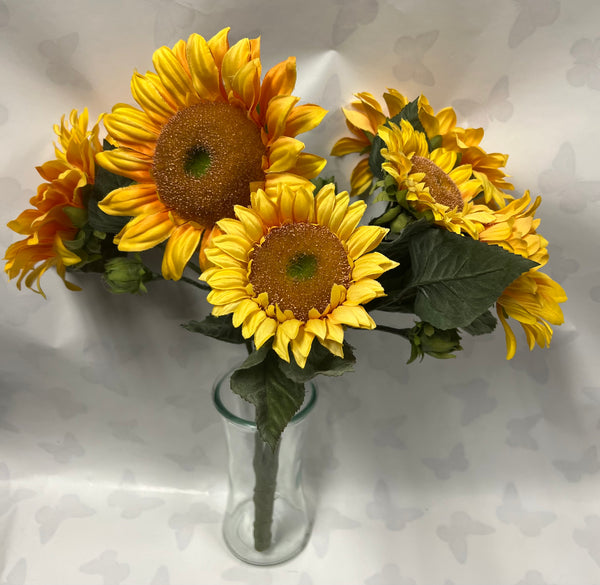 Sunflower Bush -Yellow