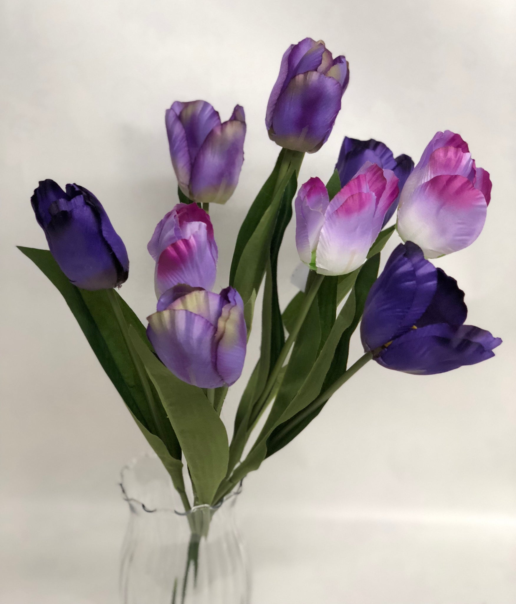 Two Tone Purple Tulip Bunch