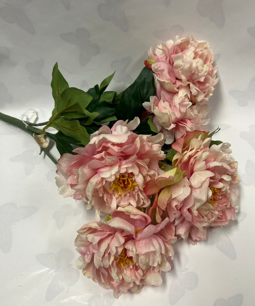 Peony Bush -Soft Pink