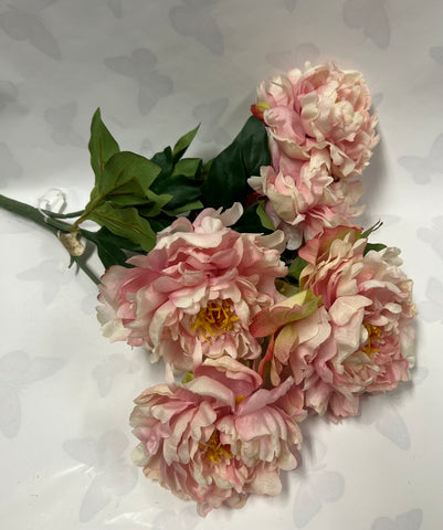 Peony Bush -Soft Pink