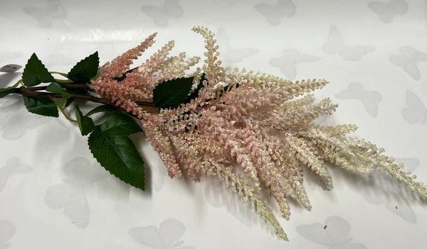 Astilbe Spray