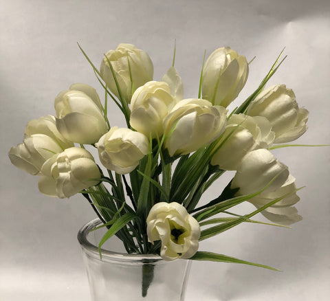 White Crocus Bunch