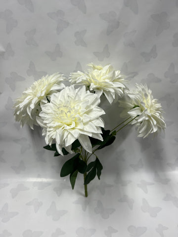 Dahlia Bush -Cream