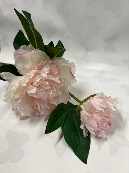 Garden Peony With Bud -Soft Pink