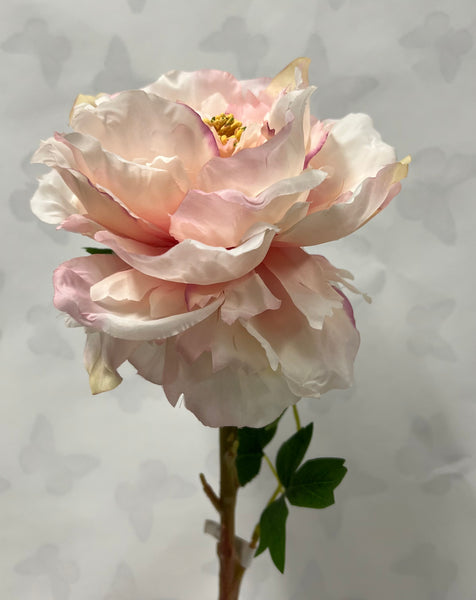 Queen Peony Stem -Soft Pink