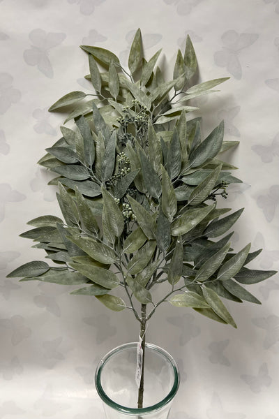 Asian Bayberry Leaf Spray