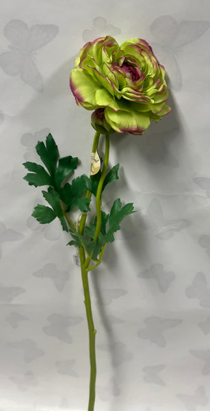 Ranunculus Spray -Green