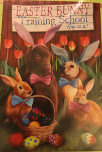 Easter Bunny Training School- Large Flag