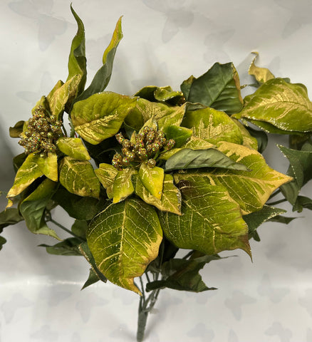 Poinsettia Bush - Lime Green and Gold