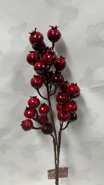 Red “Outdoor” Berry Spray