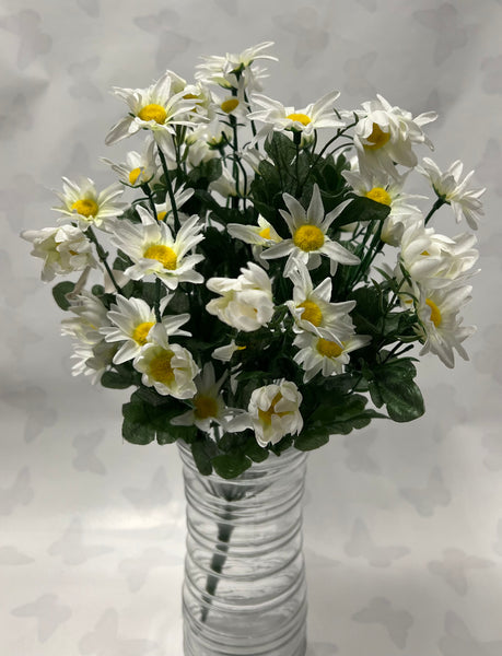 Daisy Bunch