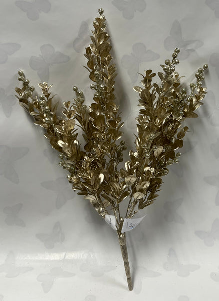 Boxwood Berry Bush -Champagne