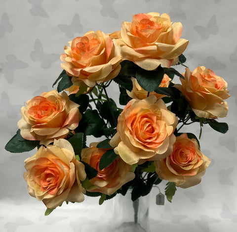 Apricot Rose Bush