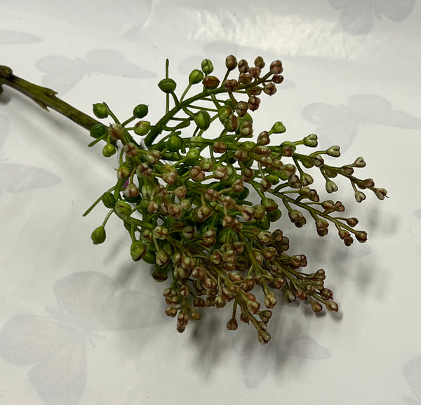 Seed Spray
