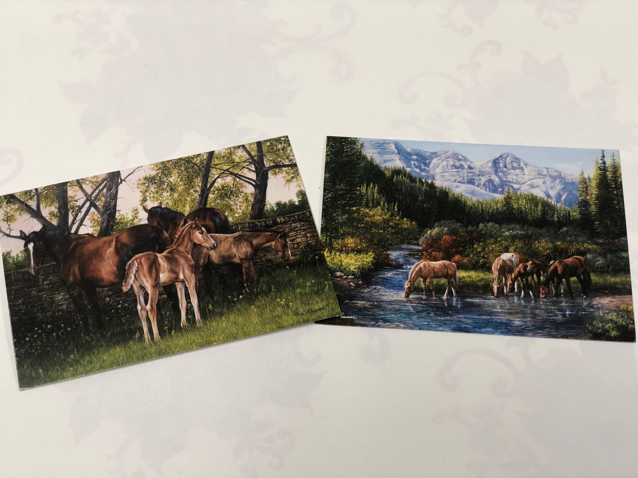 Boxed Note Cards "Somewhere in Heaven/ Memories of Summer"
