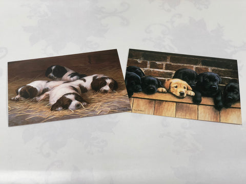 Boxed Note Cards "Lazy Days/ Seven Up"