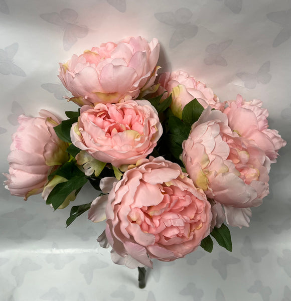 Peony Bush -Light Pink