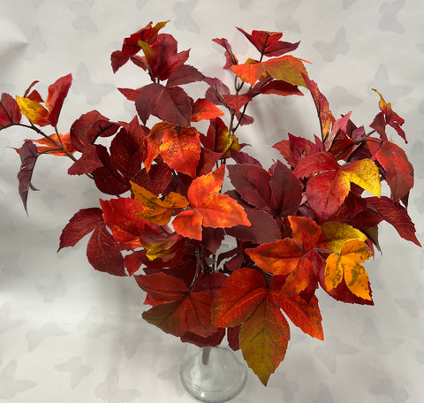 Maple Ivy Bush