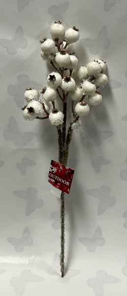 Berry Pick “Outdoor” -White