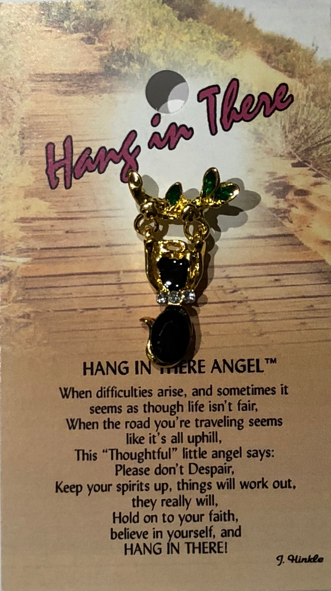 Hang In There Angel Pin