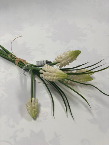 Cream Grape Hyacinth Bunch